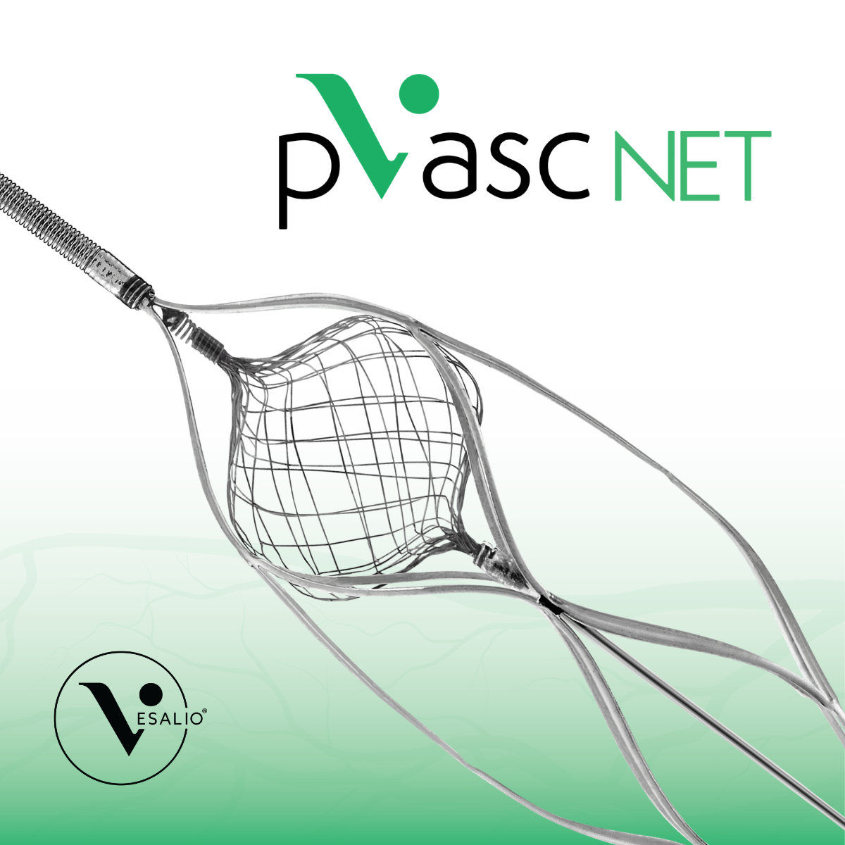 pVasc Net 2